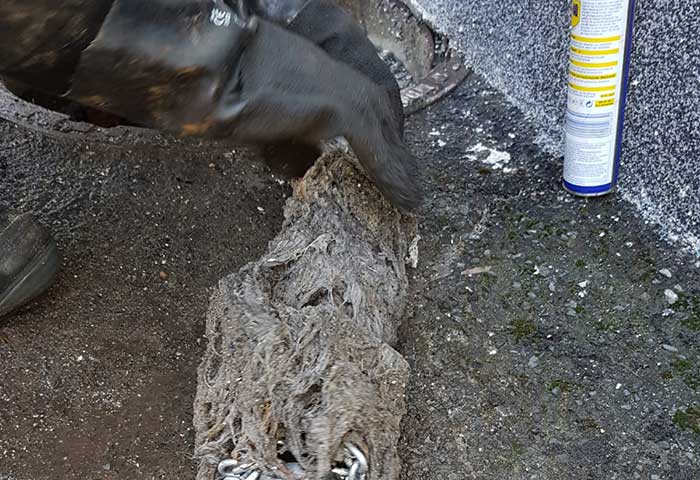 Rohrreinigung von Absolut Rohrfrei